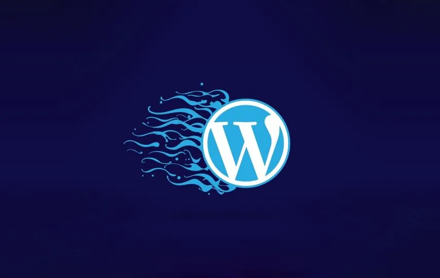 speed-up-wp-sites