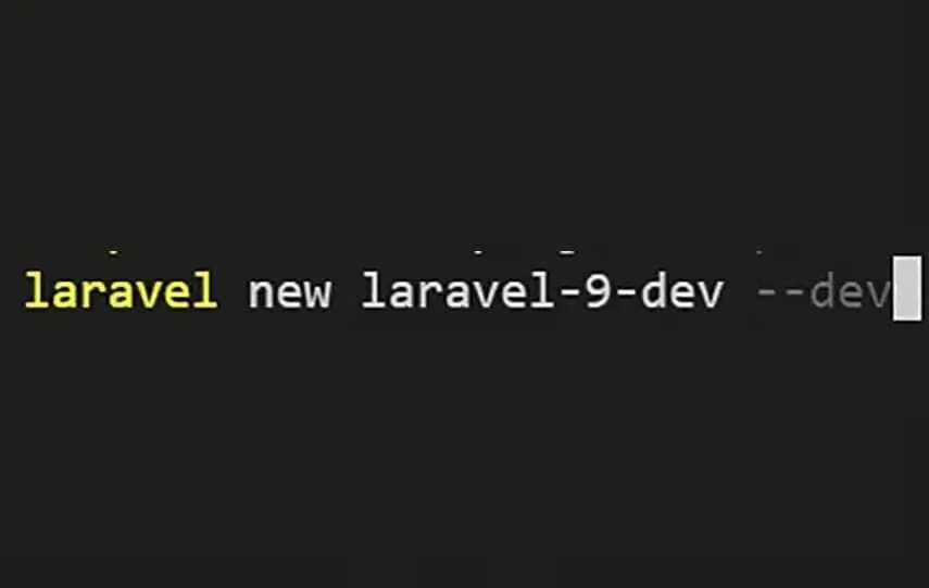 Laravel 9 - image 2
