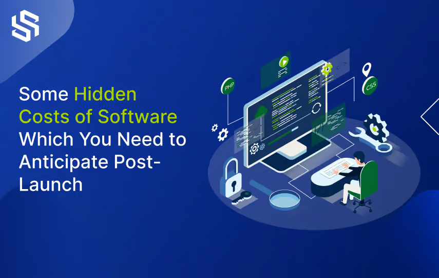 hidden costs of software