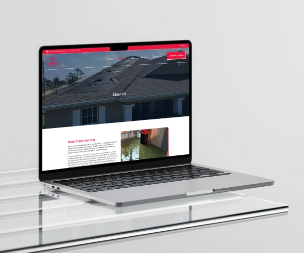 Ardent Adjusting Case Study